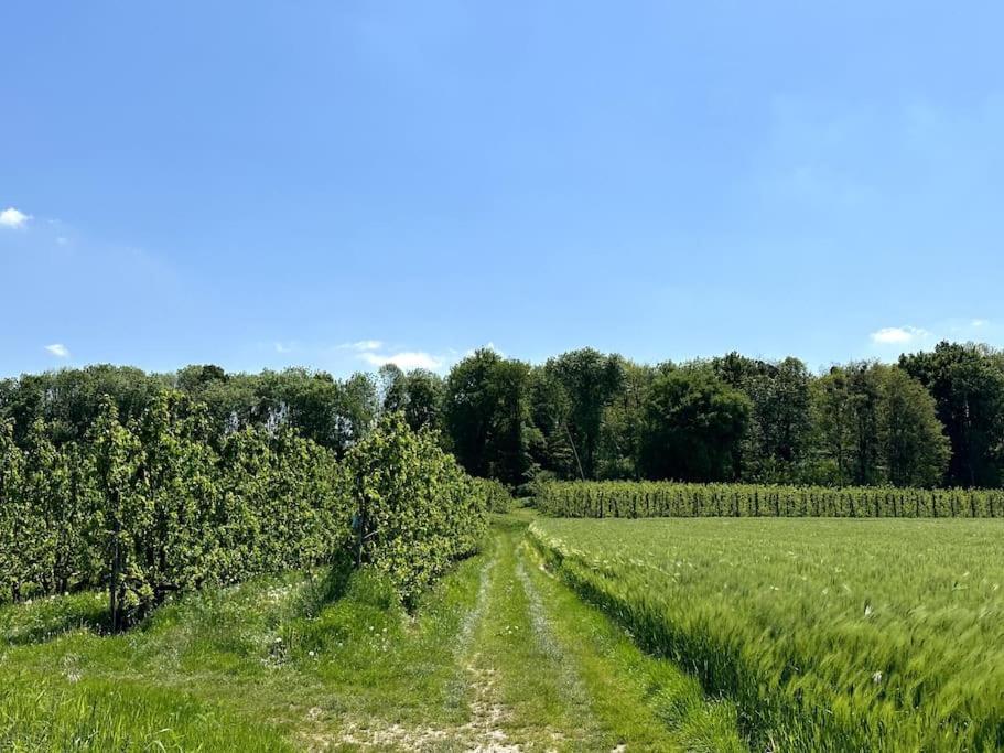 Vakantiewoning Hoogveld Kortessem Buitenkant foto