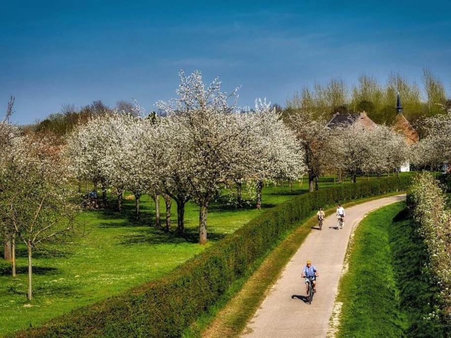 Vakantiewoning Hoogveld Kortessem Buitenkant foto